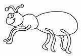Ant Hormiga Hormigas Colorear Formiga Fourmi Robaki Owady Ants Kolorowanki Desenho Fofinha Pintarcolorir نمله للتلوين Serangga صوره Dzieci Coloriages sketch template