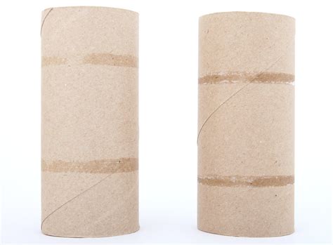 toilet paper rolls  photo  freeimages