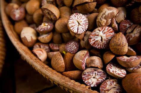 amazing health benefits  betel nut