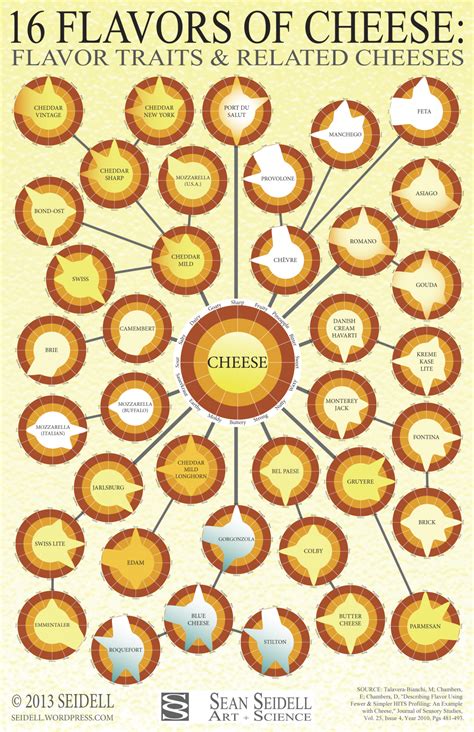 types  cheese  cheese infographics