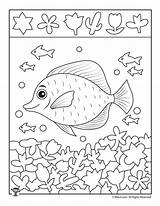 Hidden Printable Fish Kids Ocean Activities School Woo Jr Printables Summer Find Object Pages Items Woojr Activity Worksheets Preschool Print sketch template