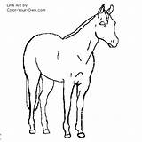 Horse Coloring Pages Quarter Mare American Color Printable Drawings Getcolorings Own Getdrawings sketch template