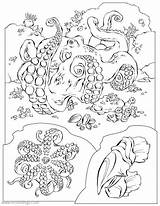 Realistic Octopus Coloring Pages Xcolorings Noncommercial Individual Only Use sketch template