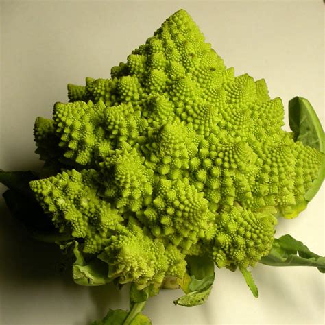romanesco wiktionary