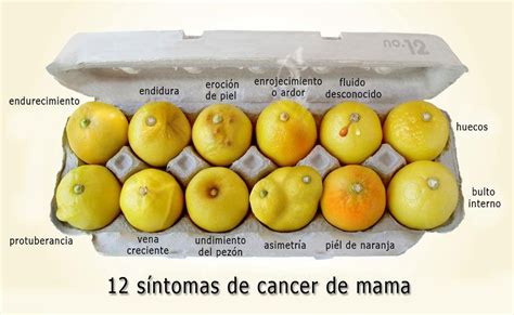 humoralandyanna 12 sintomas de cancer de mama