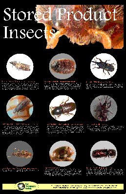 posters pest management academy