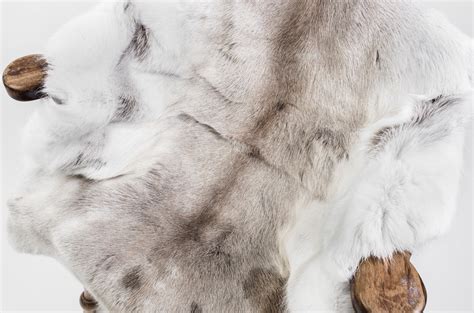 rentierfell  kaufen bei finnwerk