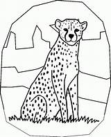 Cheetah sketch template