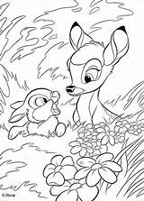 Bambi Coelhinho Grama Hellokids sketch template