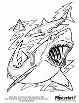Coloring Shark Sharks Book Pages Color Misterart Print Great sketch template