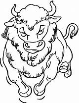Bison Coloring Pages Buffalo Head Drawing Wildlife Animals Boys Getdrawings Face Template sketch template