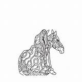 Veulen Paarden Paard Kleurboek Kleurplaat Volwassenen Kleurplaten sketch template