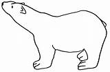 Polar Urs Colorat Planse Animale Desene Clipartbest sketch template