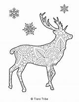 Mandala Coloring Animal Pages Reindeer sketch template