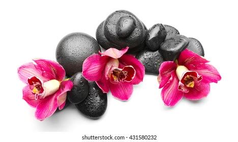 spa stones red orchid isolated  stock photo  shutterstock