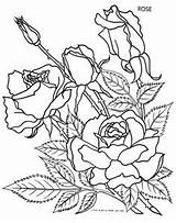 Flores Colouring sketch template
