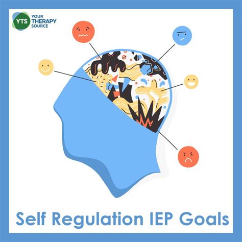 regulation iep goals  therapy source