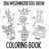 Dog Westminster Show Coloring German Shorthaired Pointer Kennel Club sketch template