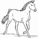 Colorir Cavalos sketch template