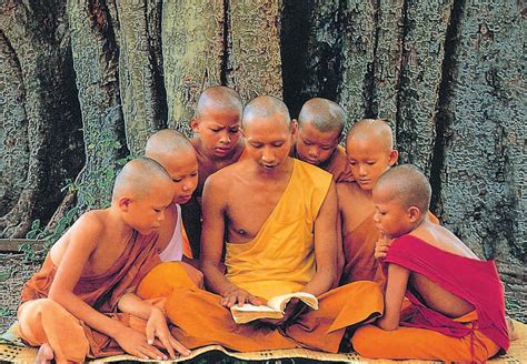 tree  life  modern buddhists