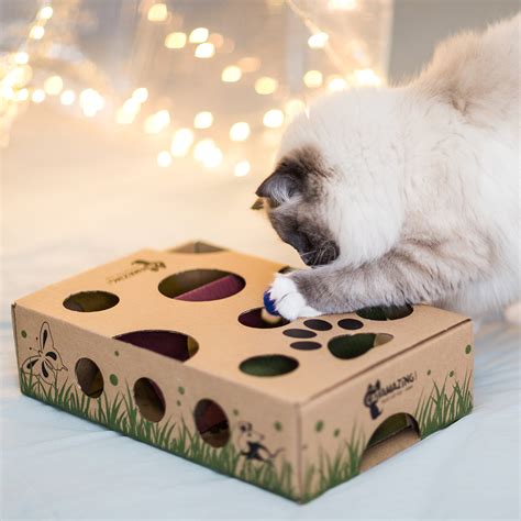 Cat Amazing Best Cat Toy Ever Interactive Treat Maze Puzzle Feeder