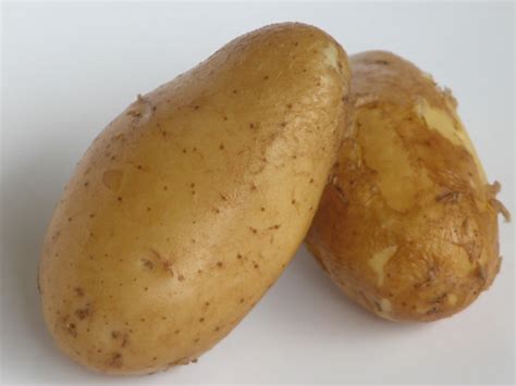 kartoffel kartoffeln und kartoffelprodukte definition warenkunde