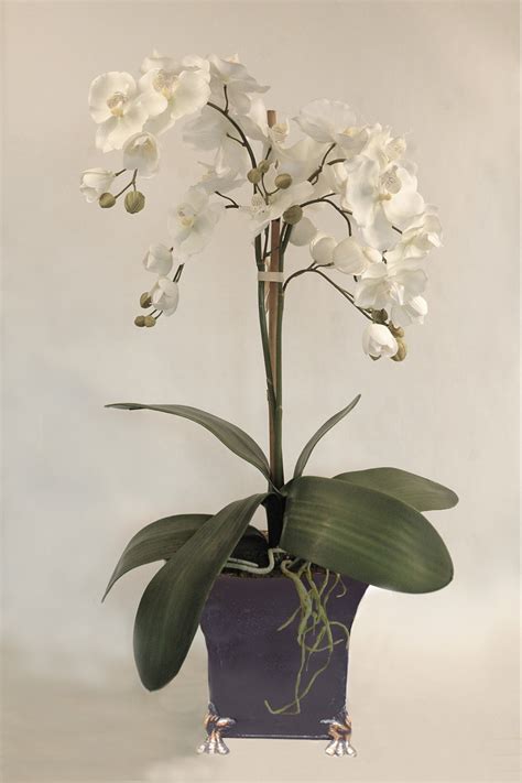 Amelia Artificial Moth Orchids Silk Flowers Artificial