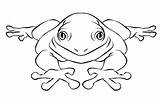 Frog Coloring Pages Jumping Kids Forget Print Supplies Don sketch template