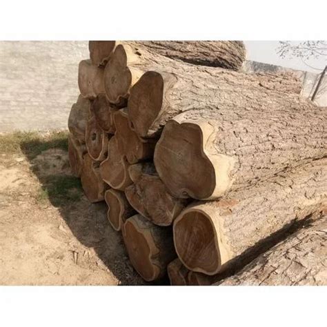 sheesham wood wholesaler  hanumangarh