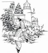 Lighthouse Paysage Mouettes Difficult Printables Letscoloringpages Adulte Adultos Scenery Bestcoloringpagesforkids Marin Phare Oiseaux Jolies Sketchite Coloriages Mcclure Merlin Seagulls Designlooter sketch template