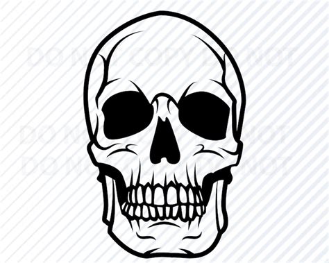 skull svg human skull vector images silhouette clip art  etsy