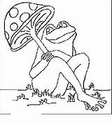 Coloring Frogs Book Pages Print Coloringkids sketch template