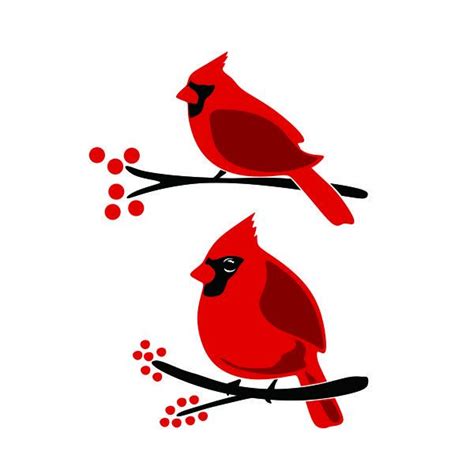 cardinal bird cuttable design apex designs fonts