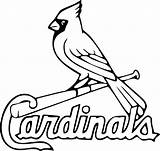 Logo Cardinals Louis St Coloring Mlb Drawing Outline Baseball Arizona Pages Decal Clip 49ers Cardinal Texans Clipartmag Comments sketch template