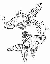 Coloring Goldfish Fish Pages Gold Pdf Printable Colouring Drawing Patterns Printables Choose Board Coloringcafe 02kb 507px sketch template