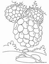 Apple Custard Coloring Pages Tree Bestcoloringpages Kids sketch template