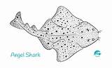 Shark Angel Coloring Template sketch template