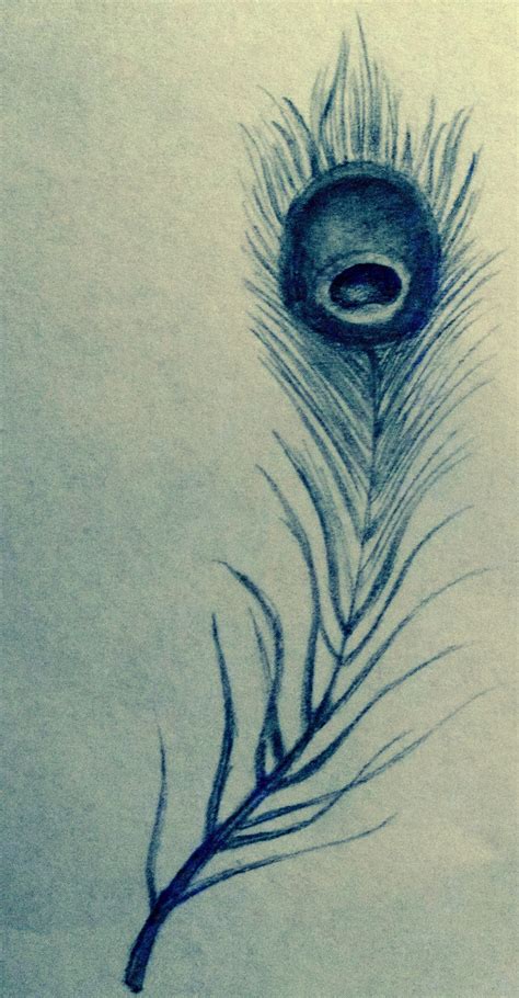 draw  peacock feather   draw  feather