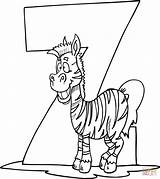 Coloring Letter Zebra Pages Crafts Drawing Printable sketch template