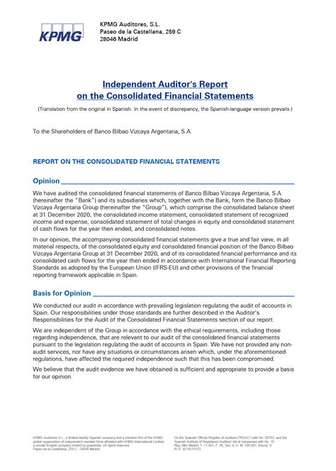 Financial Statements 2020 Auditors Report