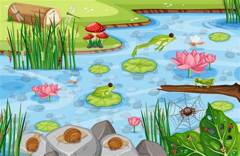 pond scene   green frogs  vector art  vecteezy
