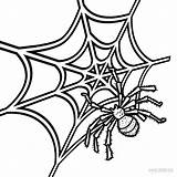Spider Web Coloring Pages Printable Drawing Kids Webs Color Drwawing Cool2bkids Iron Clipartmag sketch template