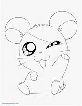Coloring Dormouse Pages Getcolorings Rats sketch template