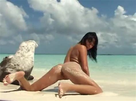 Shaved Pussy Teen In The Sand At The Beach Alpha Porno