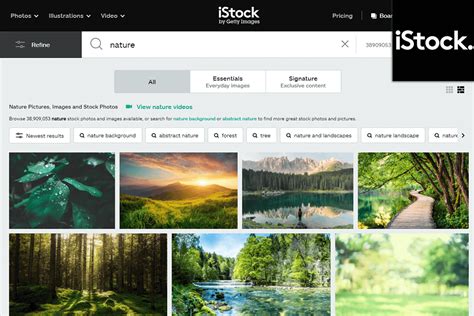 istock  adobe stock