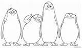 Madagascar Kolorowanki Colorear Pingwin Pinguine Pinguin Penguins Pinguinos Pinguino Dzieci Cool2bkids Wydruku Pingüinos sketch template