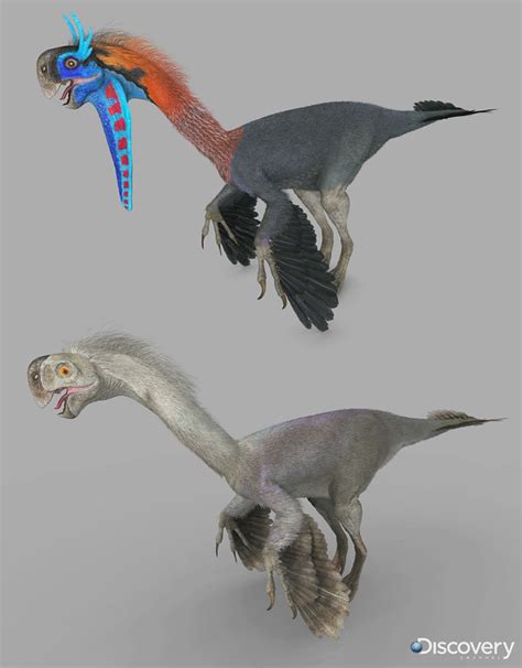 gigantoraptor dinosaur alive wiki