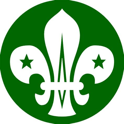 wadhurst scouts  guides