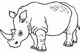 Rhinoceros Coloring Pages Colouring Baby Rhino Printable Print Visit Animal Getdrawings Line Drawing Kids sketch template