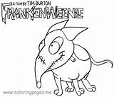 Coloring Pages Frankenweenie Sparky sketch template